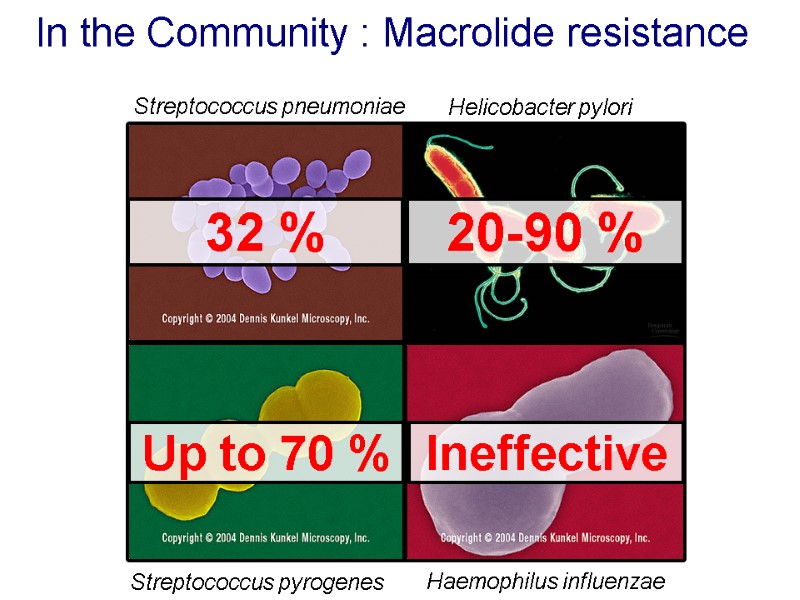 In the Community : Macrolide resistance  32 % 20-90 % Streptococcus pneumoniae Helicobacter